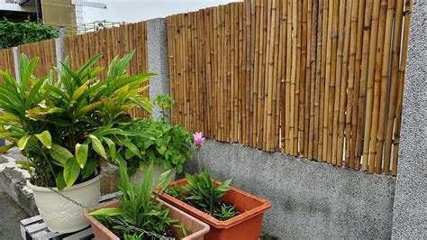竹子圍牆